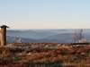 Astenheide mit Raureif überzogen